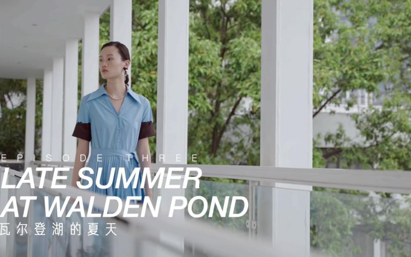 IDPAN 2022SUMMER FILM || 瓦尔登湖的夏天